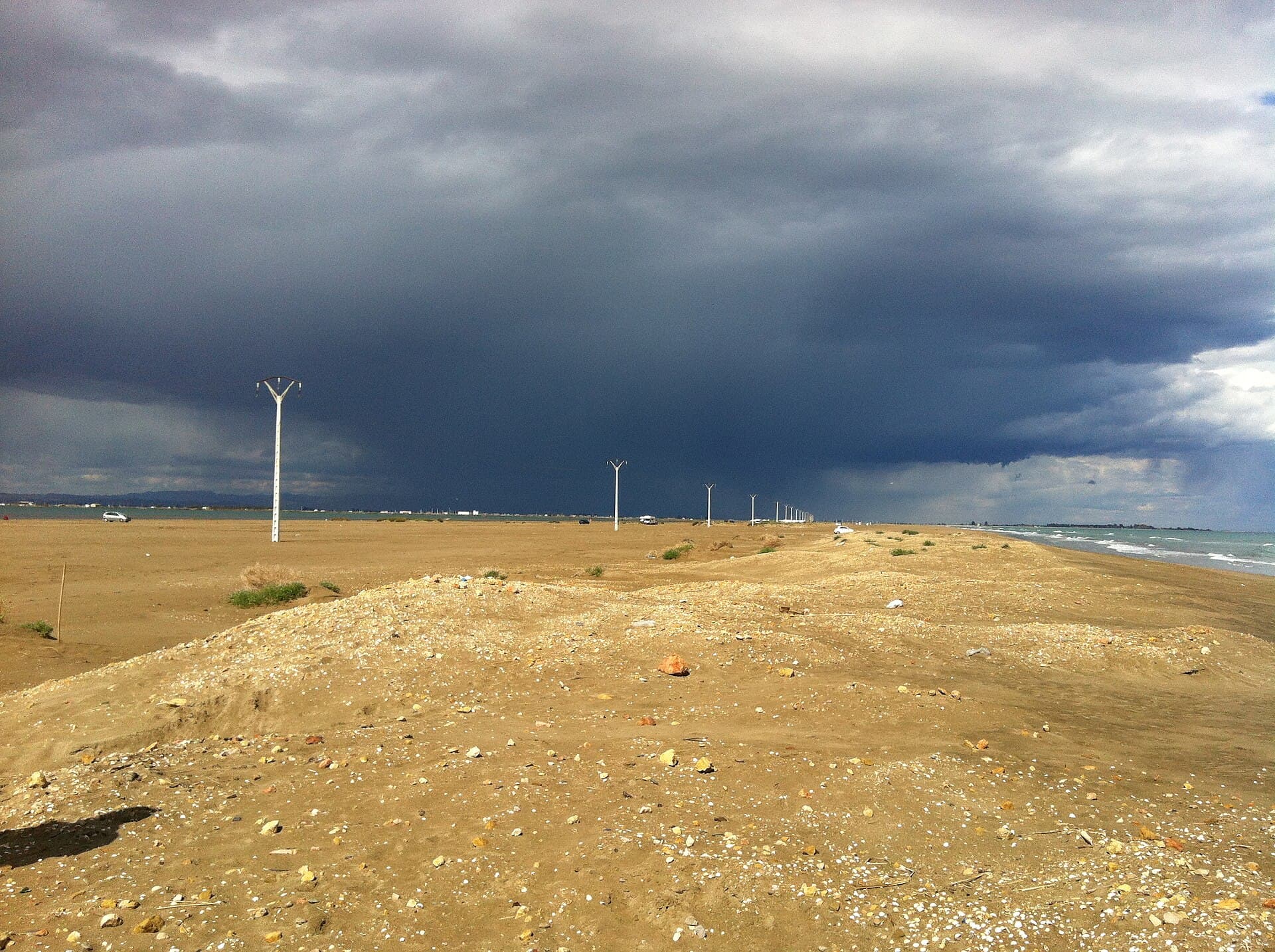 Delta de l'Ebre: natura, ocells i arròs