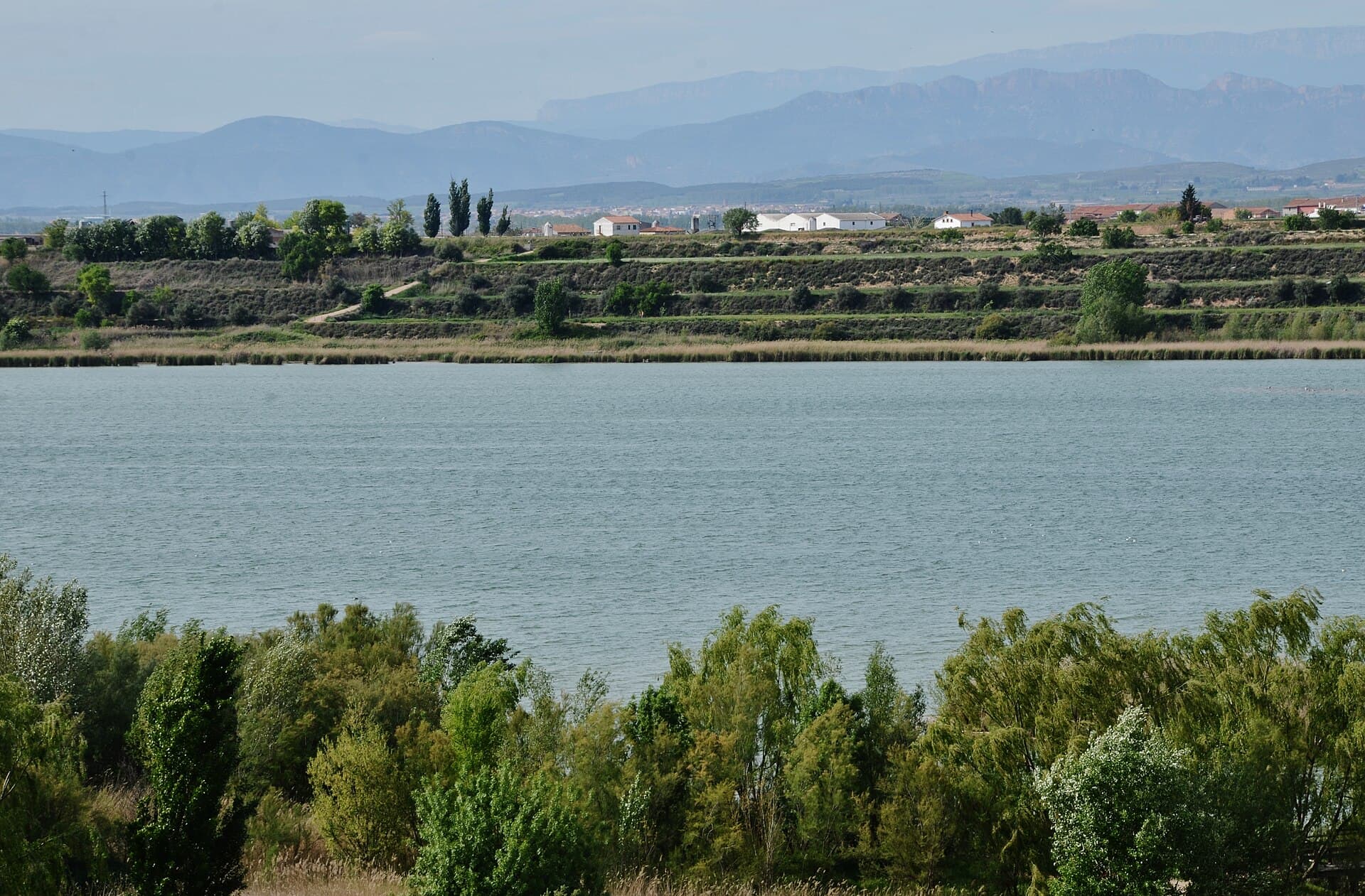 El Pla d'Urgell