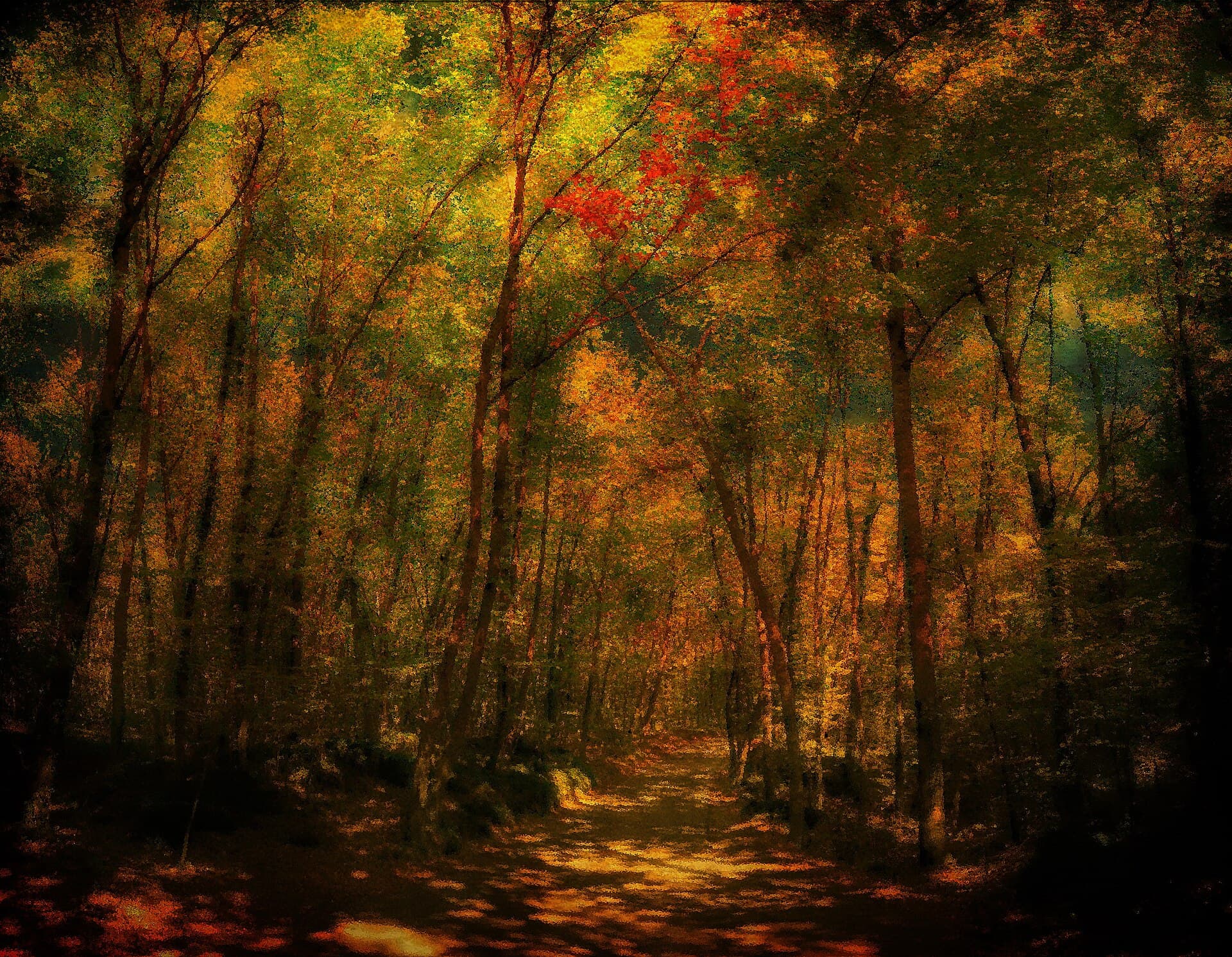 La Fageda d'en Jordà a peu